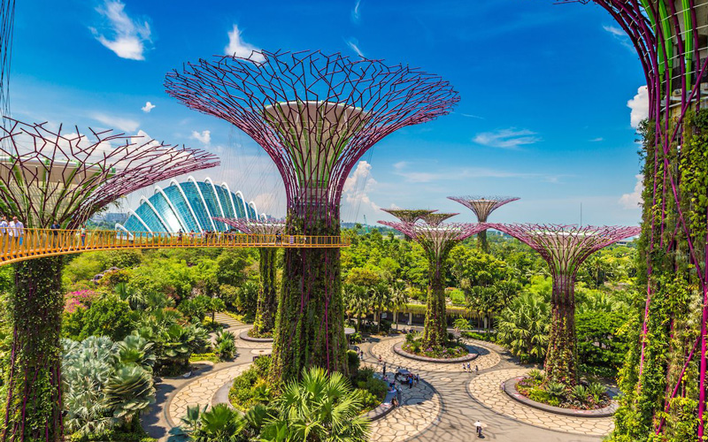 1711397496 525 Gardens by the Bay Singapore.jpeg&nocache=1