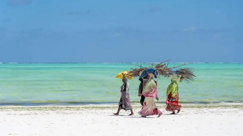 Insula Zanzibar