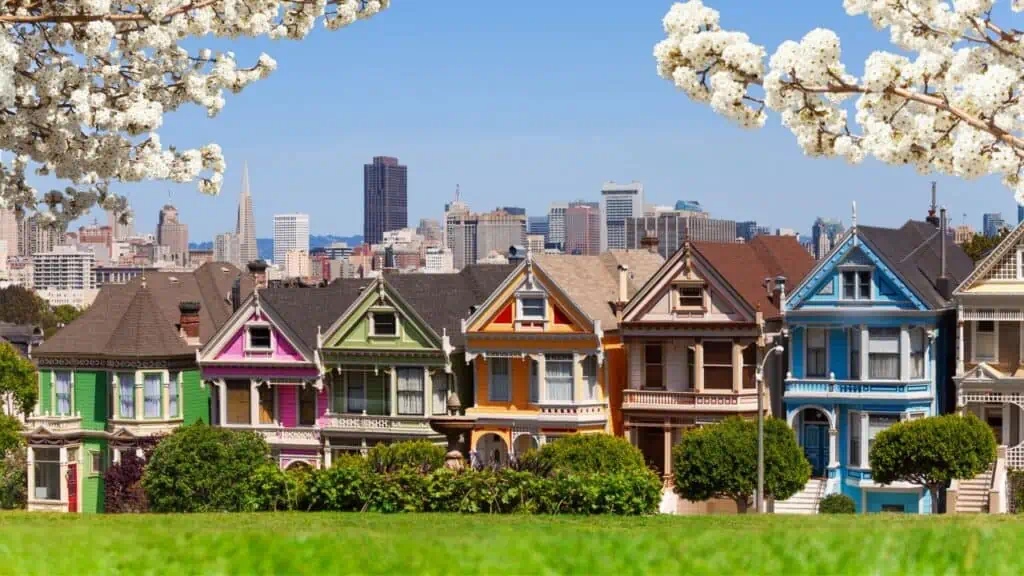 Painted Ladies din San Francisco, California