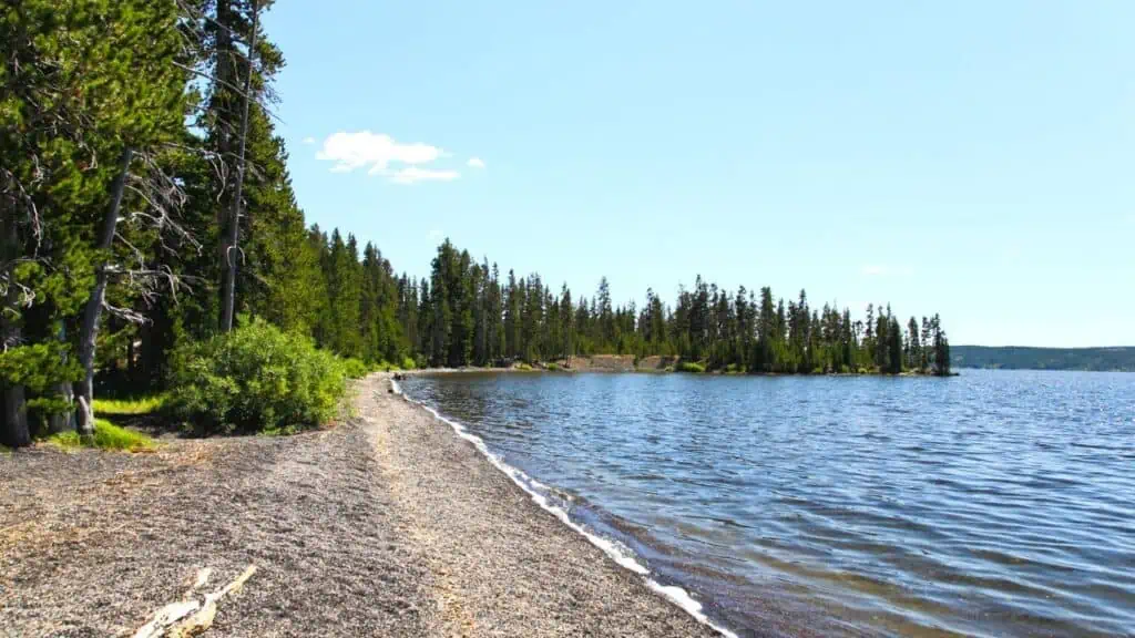 Lacul Lewis din Parcul Național Yellowstone