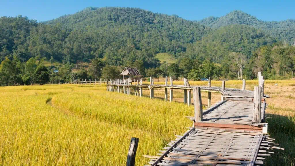 Pod de bambus din Pai, Thailanda