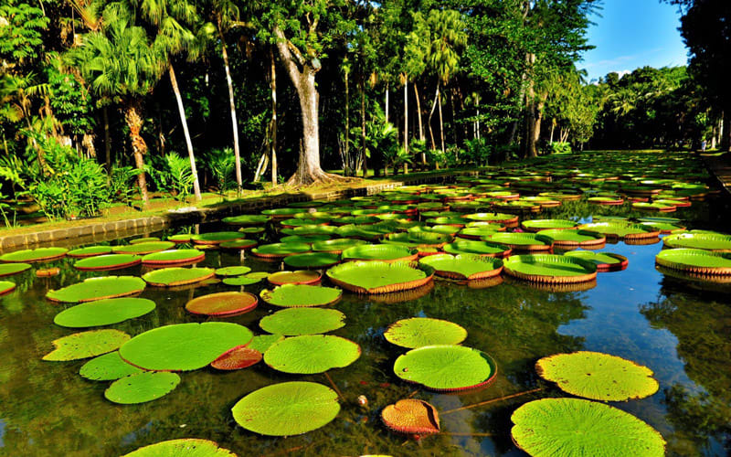 Locuri de vizitat in Mauritius 7 locuri care trebuie vazute.jpeg&nocache=1